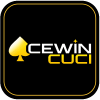 ACEWIN CUCI