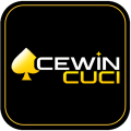ACEWIN CUCI