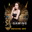 SA GAMING
